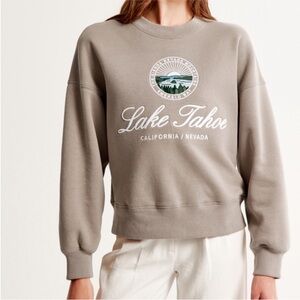 Abercrombie & Fitch Lake Tahoe Graphic Sweater - Taupe